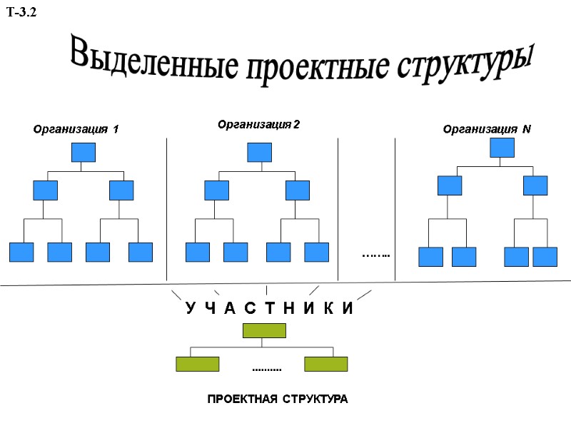 Выделенные проектные структуры …….. У  Ч  А  С  Т 